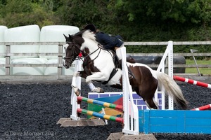 Class 3 -  Fences not above 2'3